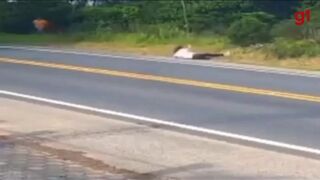 Passenger jumps out of moving car, driver falls out and car plunges downhill