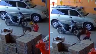 Young boy gets attacked by a dog he was teasing captured on CCTV - Cambodia