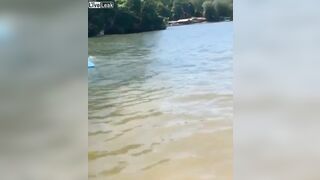 Sea snake thrown on swimmers