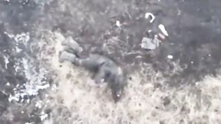 Ukrainian drone targets a russian soldier