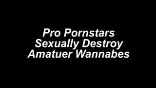 Pornstars Sexually Destroy Newbz