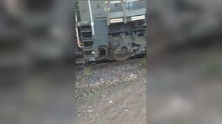 Woman Making Selfie Hit By Train In Brazil