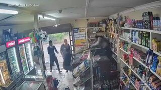 Robbery Denied In South Africa