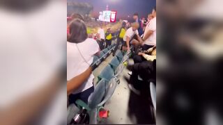 Fight broke out  at Angel Stadium