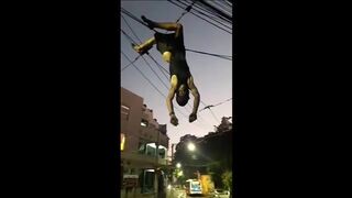 Being A Cable Thief In Brazil