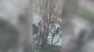 Ukranian recruitment officer beats young guy in Poltova, Ukraine.