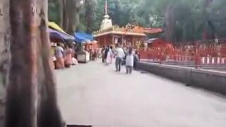 Woman Injured as tree branch falls on her in Tirumala, India