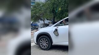 Road Rage Karate Chop in Miami