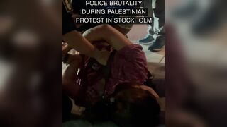 Swedish Police Bodyslams  Protester