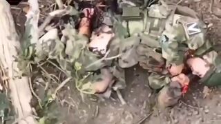 Ukrainian UAV Battalion Bulava of the 72nd Mechanized Brigade strikes Russian soldiers with dropped grenades and films the brutal afthermath