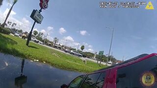 Car Tief Busted In Florida