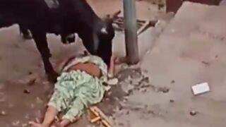 Elderly woman gets trampled to death by Bull - India