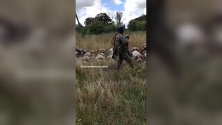 Captured russian conscripts in the Kursk region