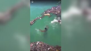 Man Goes To Rescue Some Wood, Ends Up Drowning On Film