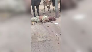 Old Woman Gets Gored To Death By Stray Cattle (Another Better Angle)