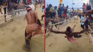 Twelve injured as bulls run amok during 'jallikattu' - Andhra Pradesh, India