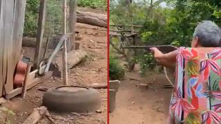 Elderly woman brings out her rifle and shoots a snake that was in her front yard - Brazil