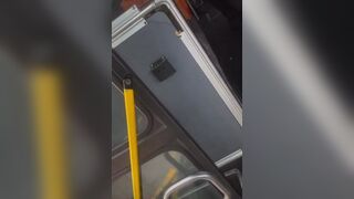 New Jersey Bus Driver Beats Rude Passenger