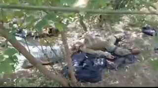 Ukrainian marines massacred after Russian ambush (full video and full photos)