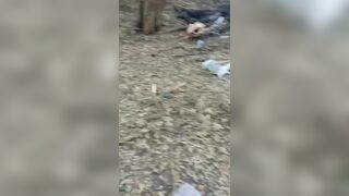 Chicken Eat Dead Ukr Soldiers