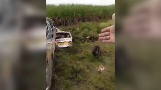 Deadly Van Crash In Kenya