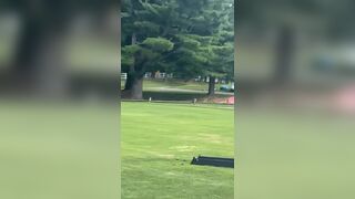 Golf Is Not Safe In Delaware