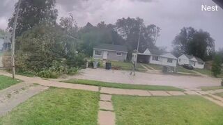 Cyclist Nearly Killed By Falling Tree During Storm In Milwaukee