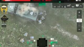 a selection of footage of the destruction of pigs in the Kursk region.