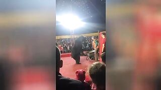 A bear attacked a trainer at the circus. Video.