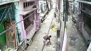 Epic battle between monkey and Hindu. Video.