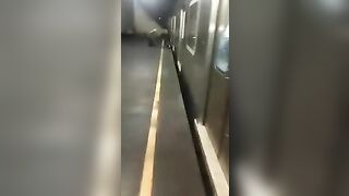 Man crushed by subway train