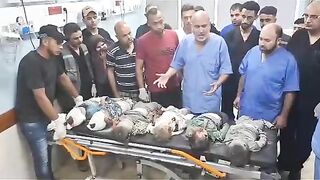 Corpses of Palestinian children. Gaza. Video.