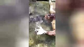 The corpse of a drowned man in the river. Colombia. Video