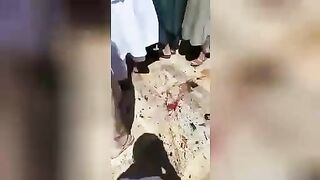 Terrorist kamikazde blew up the mosque. Herat, Afghanistan