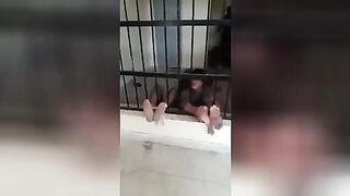 Torture of prisoners in prison. Vietnam.