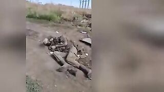 The corpses of soldiers near the destroyed installation of the MLRS