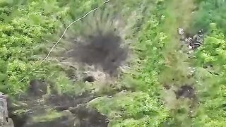 Ukrainian soldier hit a mine. Video.