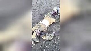 Snowdrops. Corpses of Russian soldiers in Ukraine