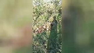 Wagner mercenaries demonstrate the corpses of Ukrainian soldiers