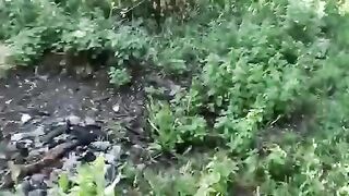 Corpses of Russian soldiers in some degree of decomposition