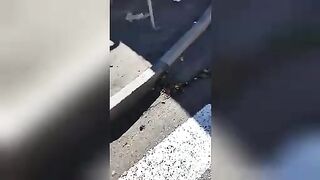 The result of a direct hit by a projectile on a bus stop