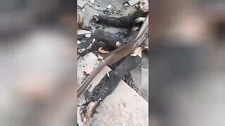 The charred corpse of a tanker. Video.