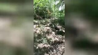 Fighter demonstrates the corpses of Russians in the forest