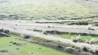 Real fighting. Drone video. Ukraine.