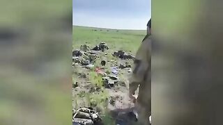 Corpses of Russian paratroopers. Ukraine. Video.