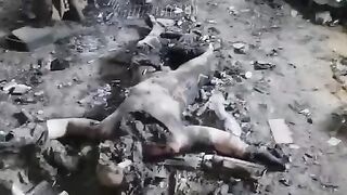 The corpses of the fighters of the Foreign Legion