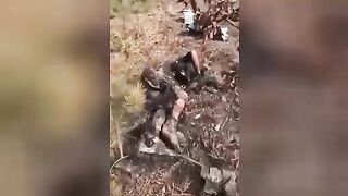 Corpses of Russian soldiers are turned into fertilizer