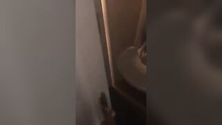 Anal in Public Bathroom Like a HOE