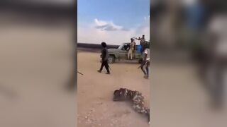 Member of Joint Forces Gets Finished Of by Rapid Support Forces Militants