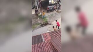 Elderly Villager Attacked By Wld Boar